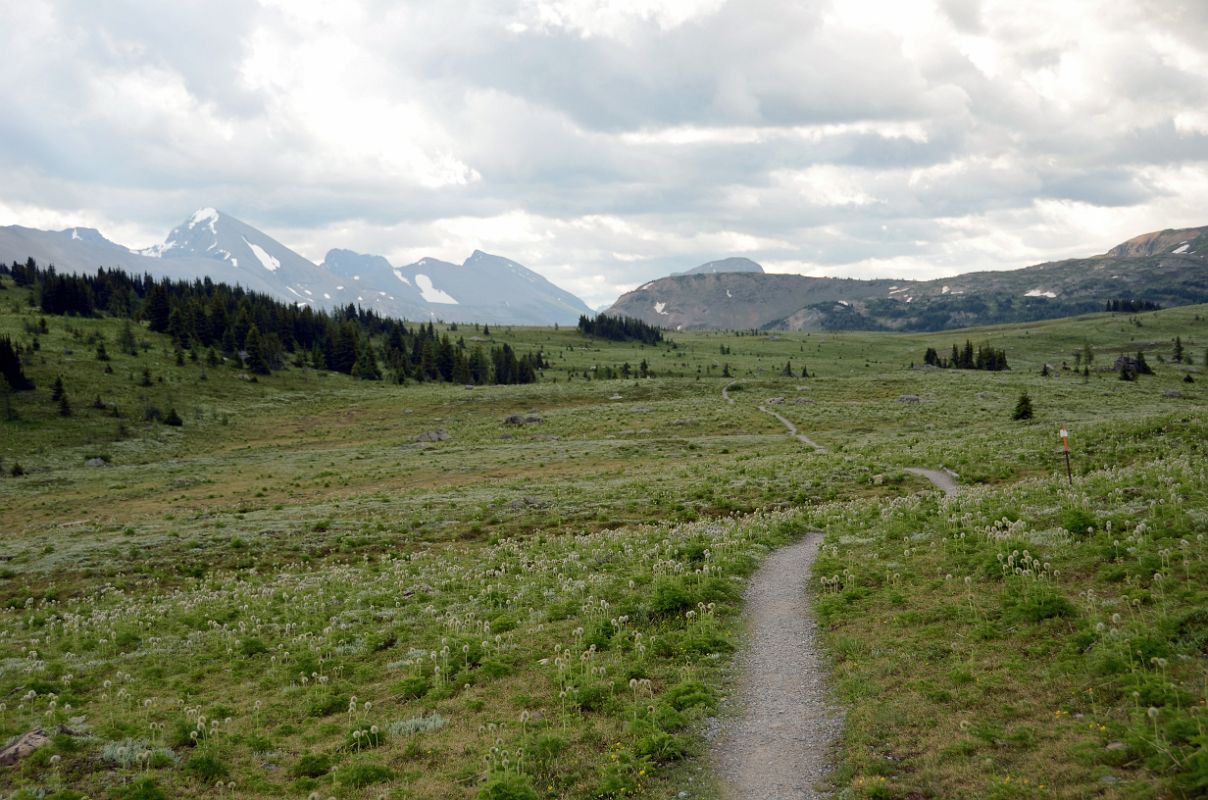 04 Fatigue Mountain, Golden Mountain and Citadel Peak From Sunshine Meadows On Hike To Mount Assiniboine